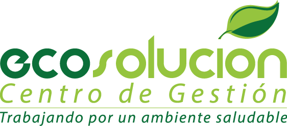 Logotipo Ecosolución